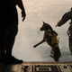 Illustration for article titled 26 Awesome Photos of War Dogs Showing How Badass emand/em Cute They Can Be
